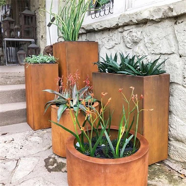 White Oak Tree Box Ültetőgép Corten Acél ültetődobozok